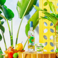 Combo Caipirinha X Caipiroska - Cachaça Sagatiba Cristalina 700ml + Vodka Skyy 750ml