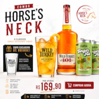 Horse's Neck Cocktail Combo – Wild Turkey 101 Bourbon 700ml + 2 Ginger Ale Pabs 269ml + Copo