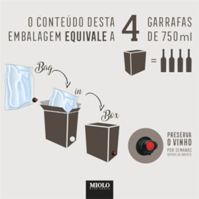 Vinho Miolo Seleção Rosé Cabernet & Tempranillo Bag in Box 3L