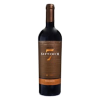 Vinho Salton Septimum Corte 2020 750ml