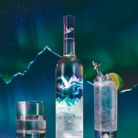 Vodka Grey Goose Night Vision Luminous 1,75L